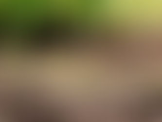 Get Comfortable Being Uncomfortable