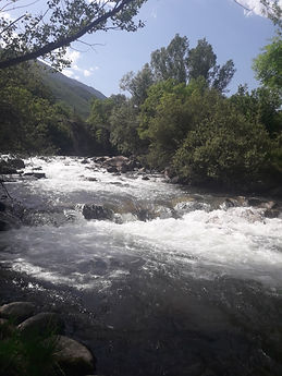 20190628_170648.jpg
