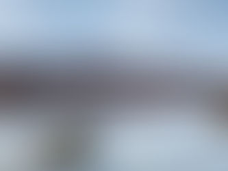 What's the value of brand?