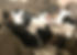 IMG_6433.jpeg