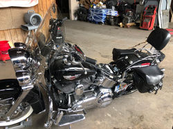 harley (1).jpeg