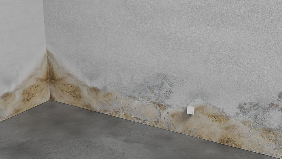 bild-01_feuchte-wand_9_030426.jpg
