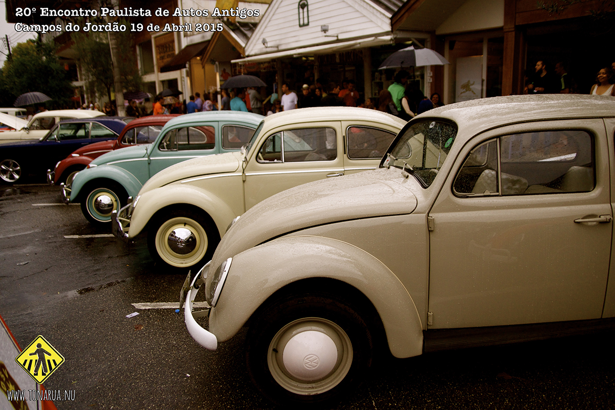 auto099.jpg