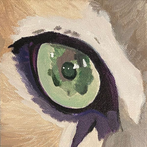 Panther's Eye