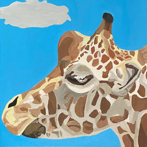 Giraffe (Close Up)