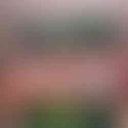 Skylten på Langi Langi Beach Bungalows, Nungwi, Zanzibar