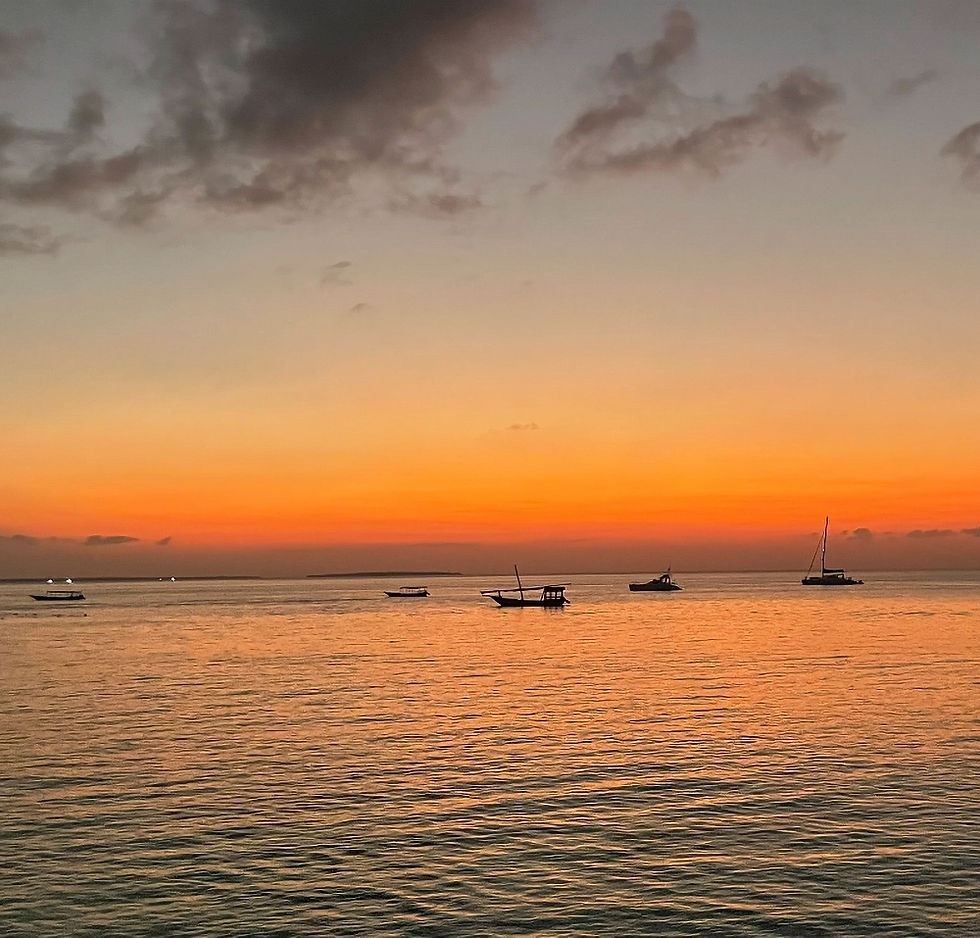 Solnedgång i Indiska oceanen. Nungwi Beach, Zanzibar.
