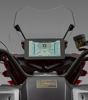 QJMOTOR SRT 900 SX - Display.jpg