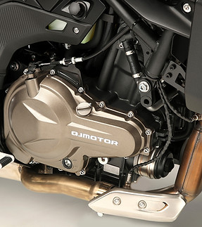 QJMOTOR SRK 600 PRO - Motor.jpg