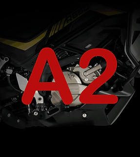 QJMOTOR SVT 650 X - A2.jpg