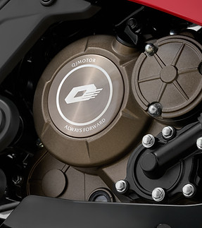 QJMOTOR SRK 125 R - Motor.jpg