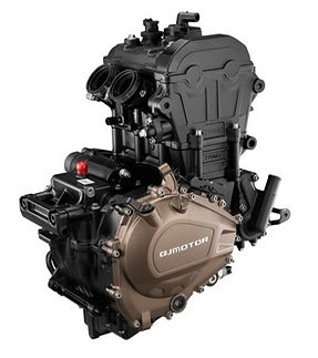 QJMOTOR SRT 450 RX Motor (6).jpg