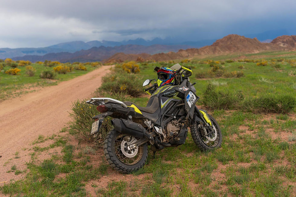 QJMOTOR SVT 650 X