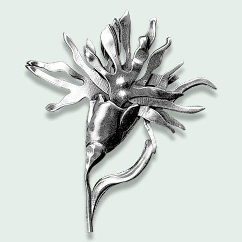 Miniaturebillede: Reyðakkuleya