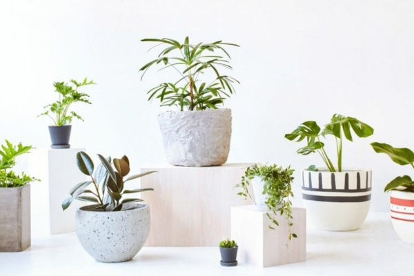 Chậu cây nhỏ giúp cho nữ trang trí không gian sống xanh