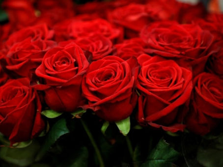 Top 12 quà sinh nhật cho bạn gái ấn tượng và đầy ý nghĩa