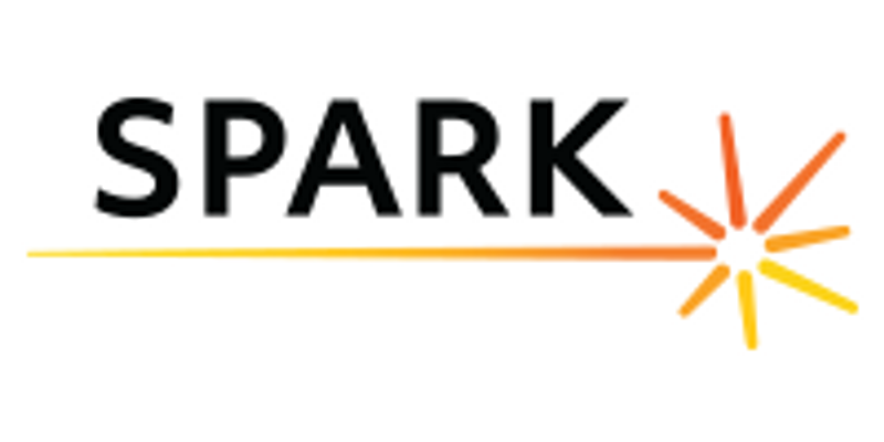Spark ~ Understanding Aggression in Autism