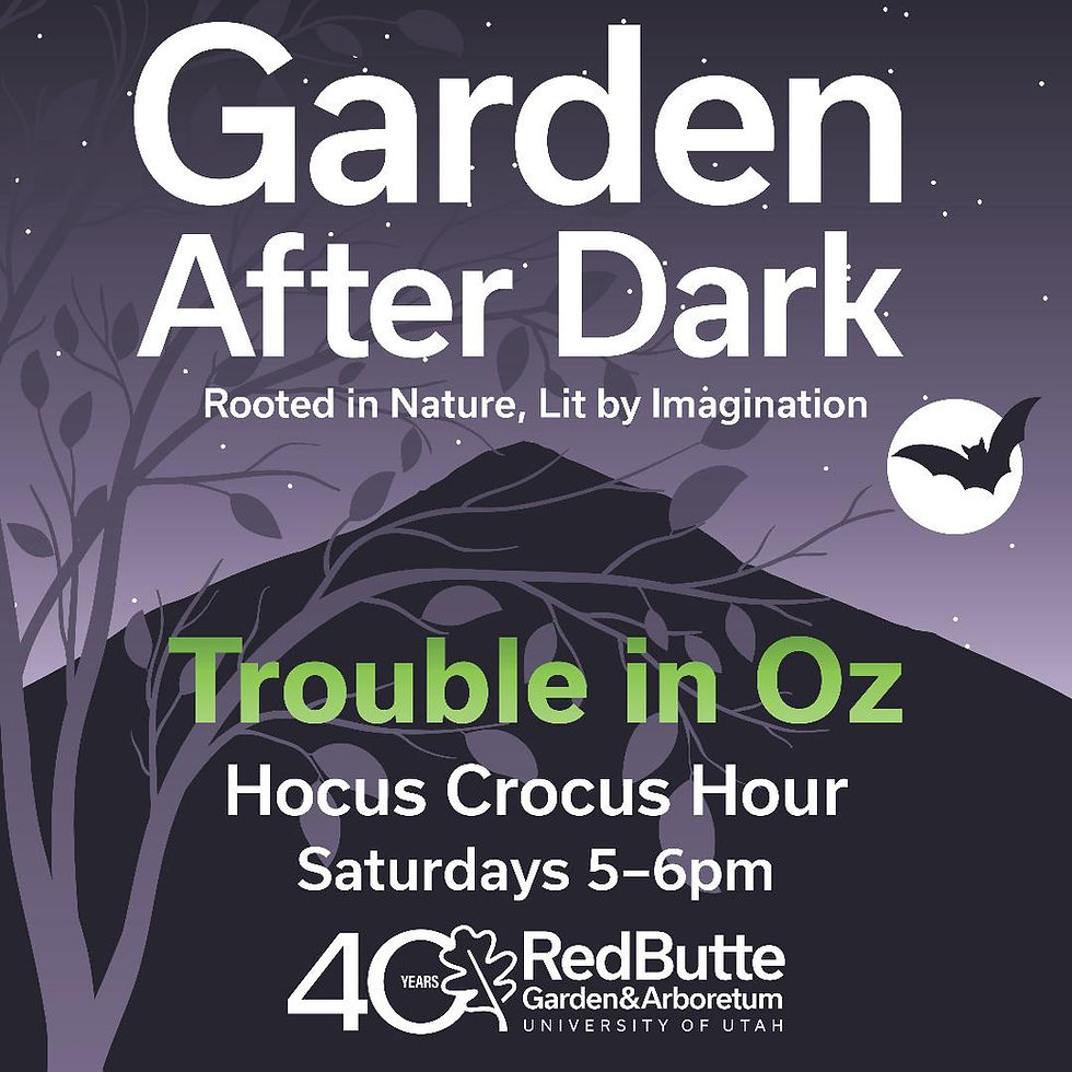 Garden After Dark ~ Red Butte Garden