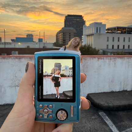 Internet is King (and I hate monarchies)