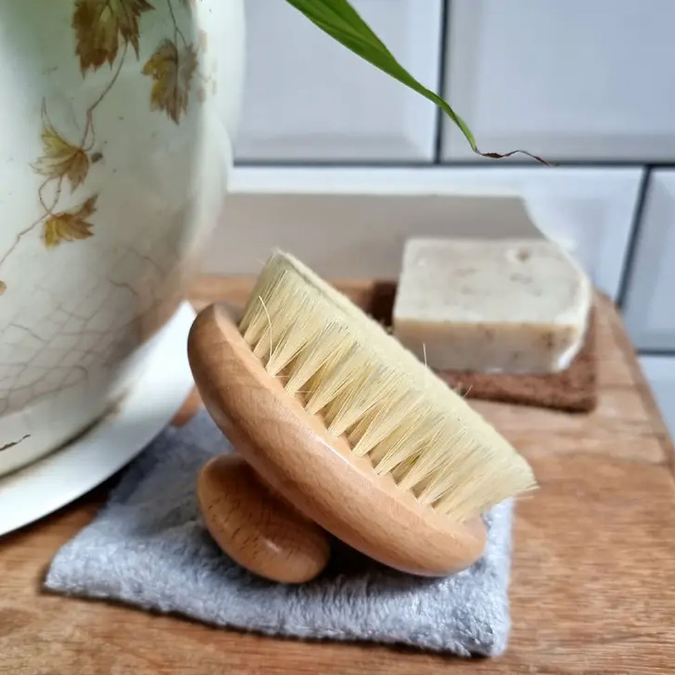 Flat lay of natural dry body brushes with soft bristles