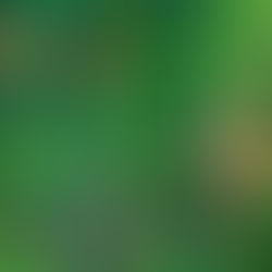 VEGANS CAN PLANT TRILLIONS OF TREES AND BUILD SUSTAINABLE GREEN VEGAN CITIES AND SAVE THE PLANET =)