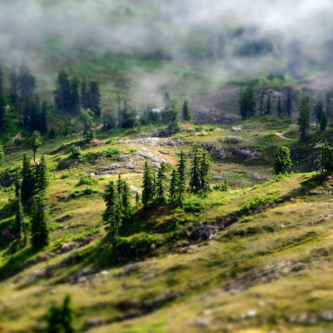 God Is Many Words =)