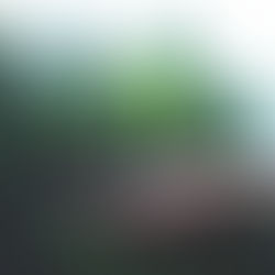 MOST FUTURISTIC VEGAN MILLENNIUM IN THE ENTIRE UNIVERSE IS DAWNING !!!