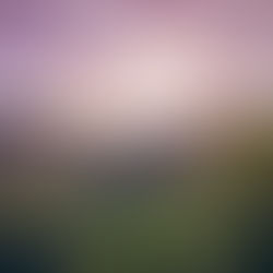 UNITED VEGAN TERRAFORM MUTATES EARTH INTO FUTURISTIC VEGAN BIOPHILIC PARADISE WHERE EVERYONE'S RICH