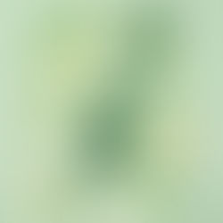  Plant-Based Movements - Innovation Will Become Most Advanced, Carbon-Negative-Green In The Universe