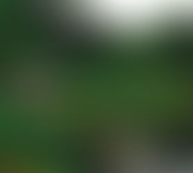 The Vegan Earth Is Becoming A Very Sustainable, Green, Plant-Based, Pollution-Free Spaceship  =D