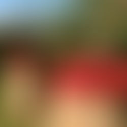 HOW CAN YOU MAKE MONEY AS A VEGAN?