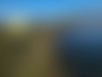 IEF regulamenta manejo do fogo para combate a incêndios