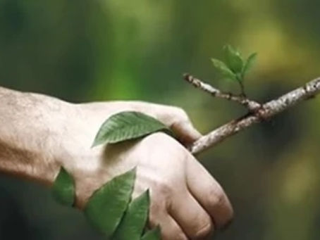 FEAM estabelece diretrizes de pesquisa e inovação para a gestão ambiental em MG