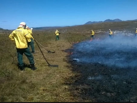 ICMBio realiza ações para prevenção de incêndios florestais