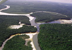 Rio amazonas tem mais de 9 milhões de anos
