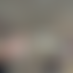 dalmata y gofre en brujas