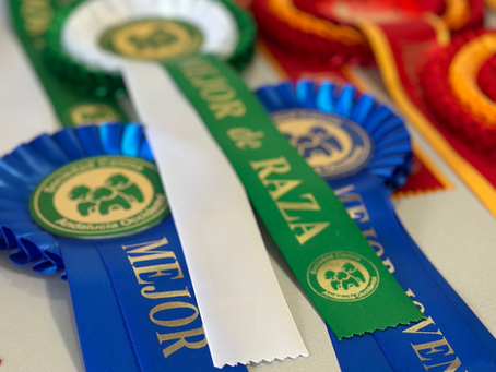 Exposición Nacional e Internacional de Sevilla 1 y 2 de Marzo de 2025.