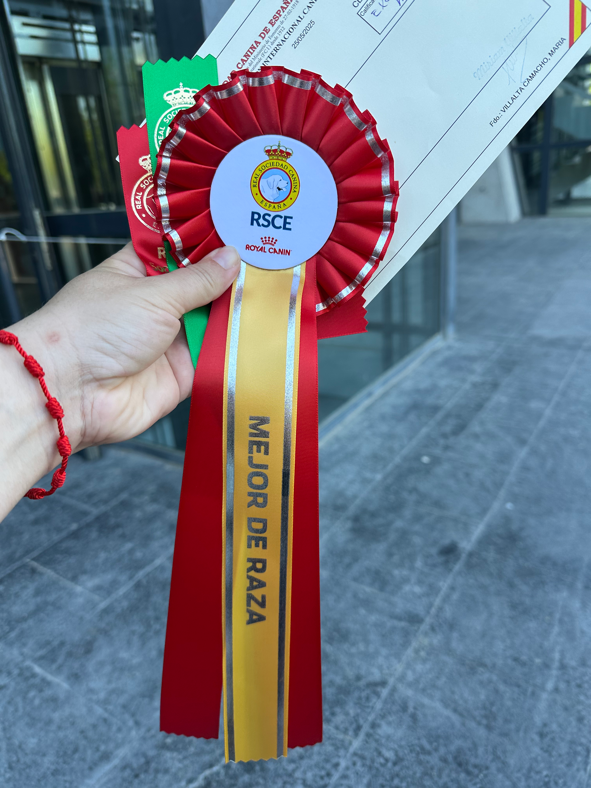 Escarapela mejor de raza de la real sociedad canina de españa