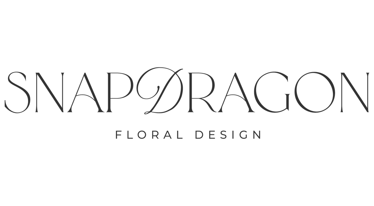 Snapdragon Studio