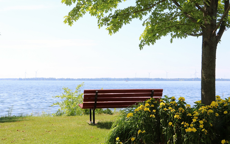 Loyalist Shores: Your Year-Round Retreat – How the area offers the perfect blend of seasonal activities.