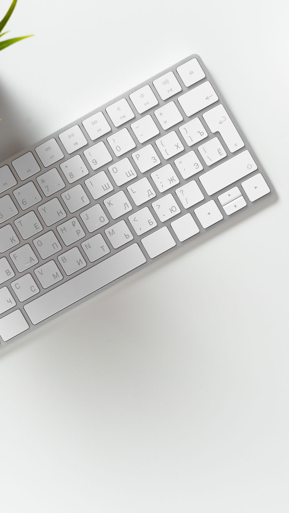 Keyboard and Mouse