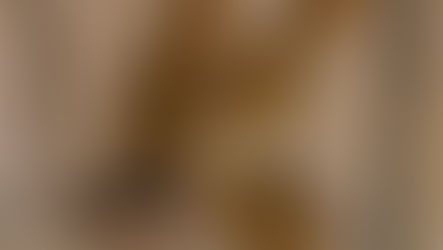 Egypt and Bees, the old and the new