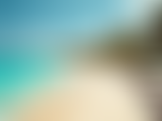 How to Maximize Your Vacation Rental Income