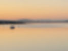 IMG_1183.jpeg