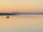 IMG_1183.jpeg