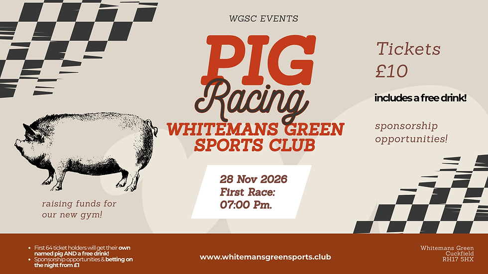 Pig Racing