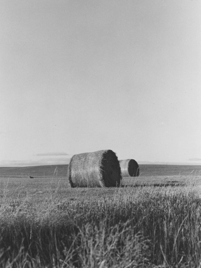 "Scenes From the Midwest #4". Archival Silver Print on Ilford Fiber Paper. 8x10 inches. 2020.