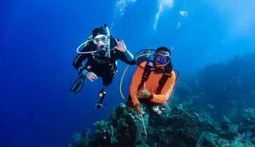 Open Water Diver certifications in Massachusetts
