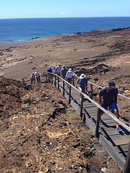Group Scuba Diving Trip to Galapagos | 2027