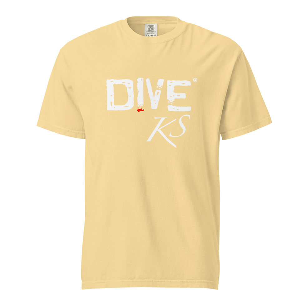 Thumbnail: DiVE KS TEE 